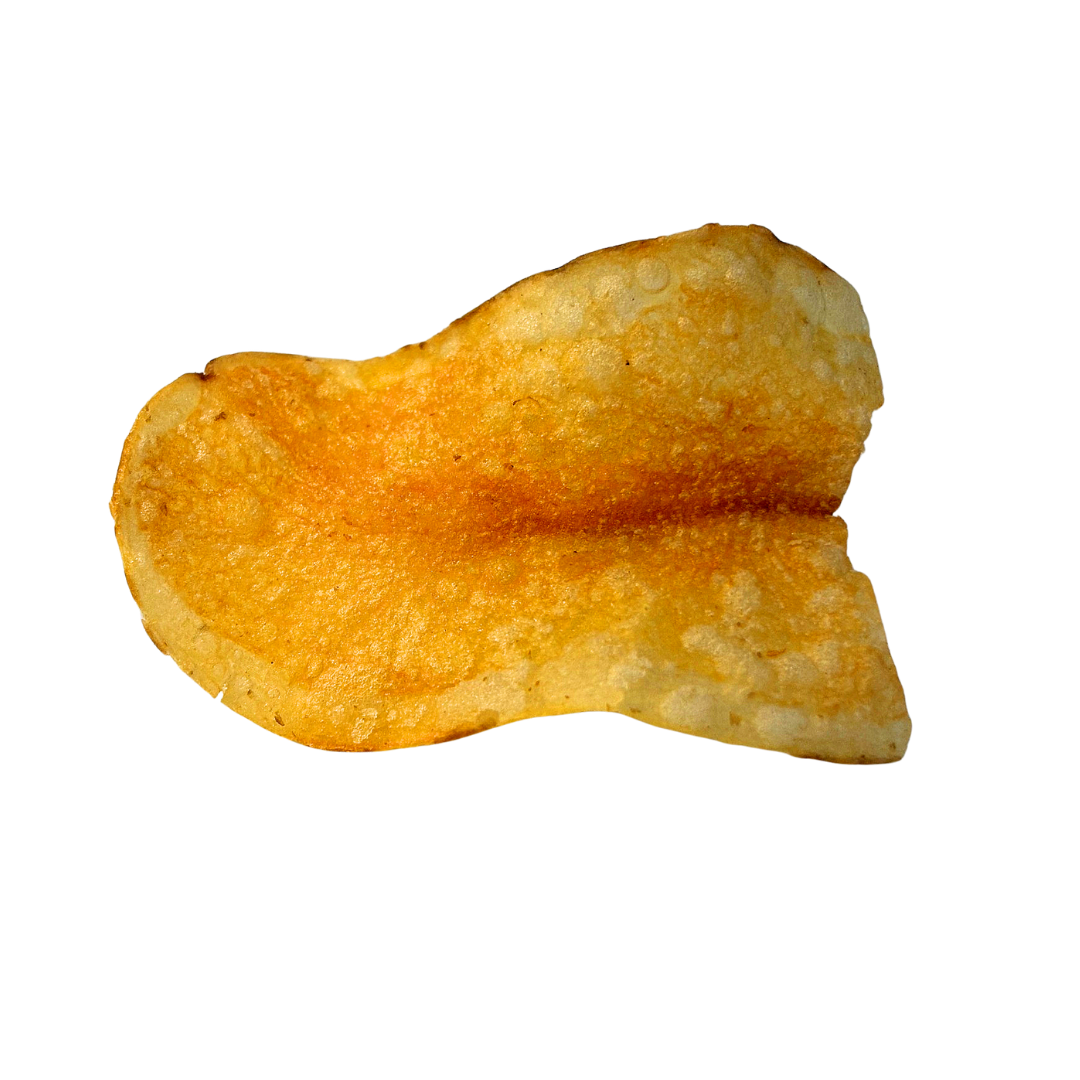 A single My Dad's chip, close up