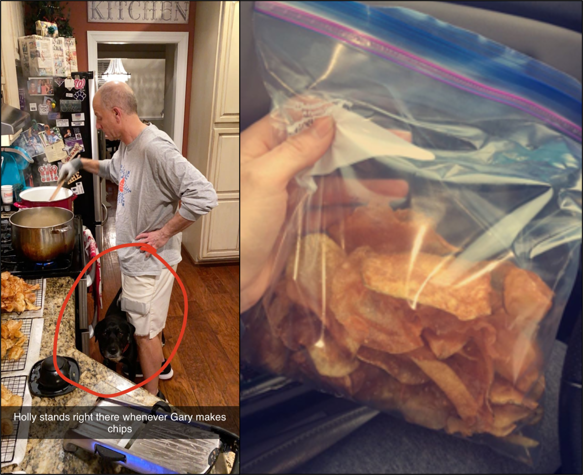 Gary kettle cooking chips in the kitchen, with Holly the dog waiting nearby